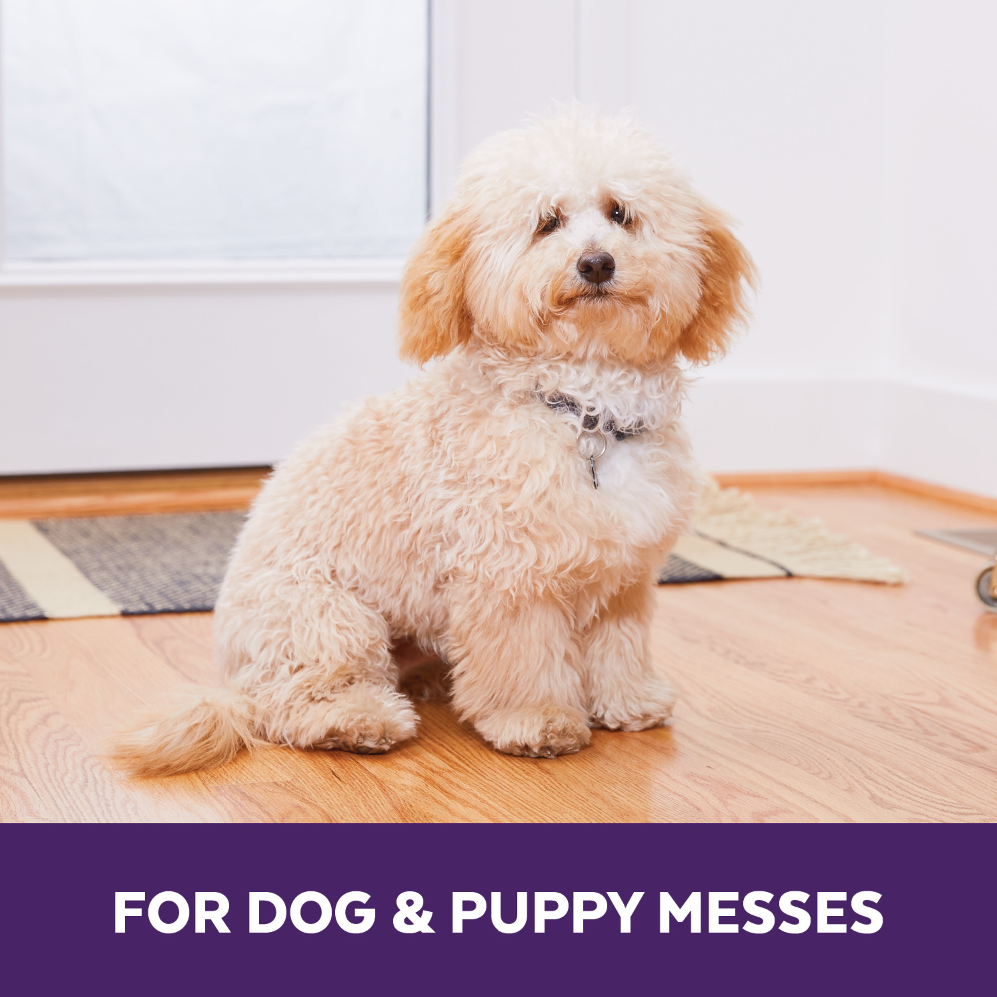 Dog & Puppy Formula with Carpet Applicator